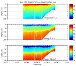 Temperature, Salinity,<br>and Density