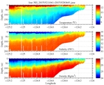 Temperature, Salinity,<br>and Density