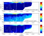 Chlorophyll, CDOM,<br>and Backscatter