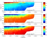 Temperature, Salinity,<br>and Density