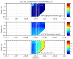 Chlorophyll, CDOM,<br>and Backscatter