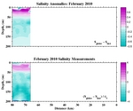 Salinity Anomalies