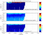 Chlorophyll, CDOM,<br>and Backscatter