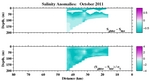 Salinity Anomalies