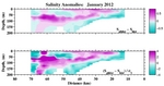 Salinity Anomalies