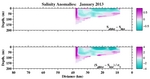 Salinity Anomalies