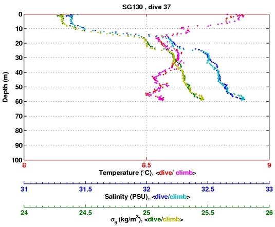 Temperature Salinity