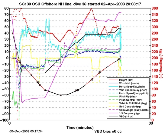 Dive Characteristics