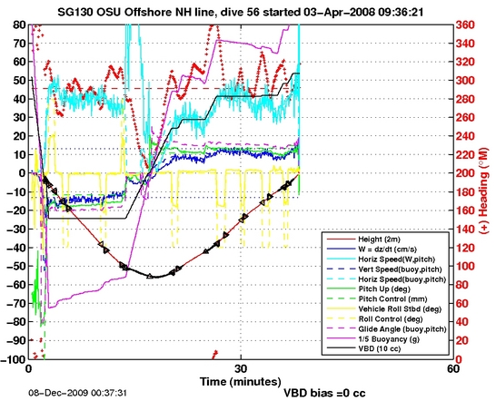 Dive Characteristics