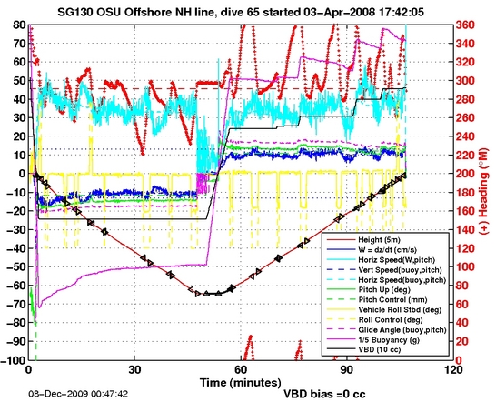 Dive Characteristics