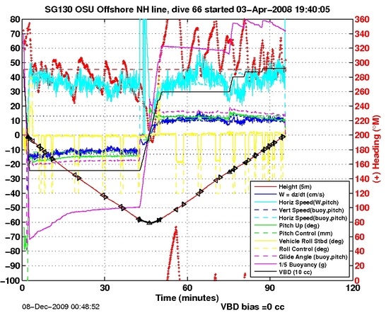 Dive Characteristics