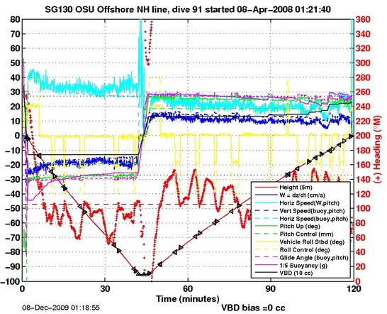 Dive Characteristics