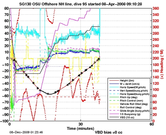 Dive Characteristics