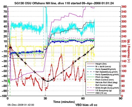 Dive Characteristics