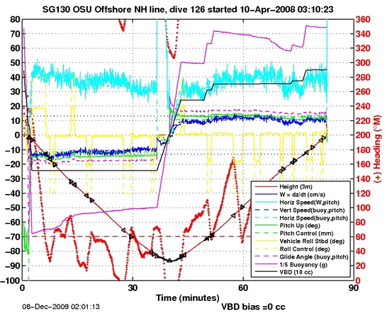 Dive Characteristics