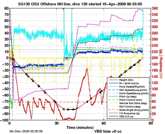 Dive Characteristics