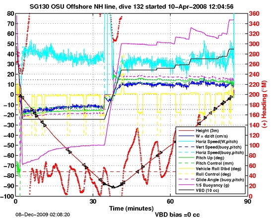 Dive Characteristics