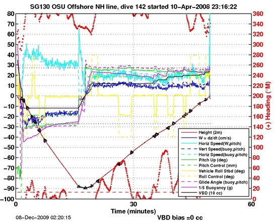 Dive Characteristics