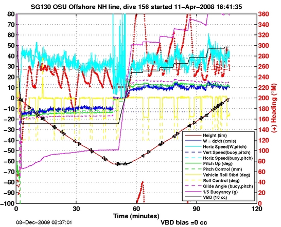 Dive Characteristics