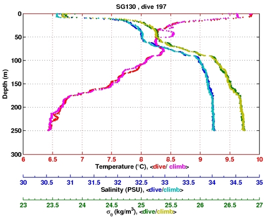 Temperature Salinity