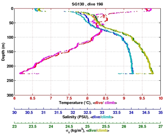 Temperature Salinity