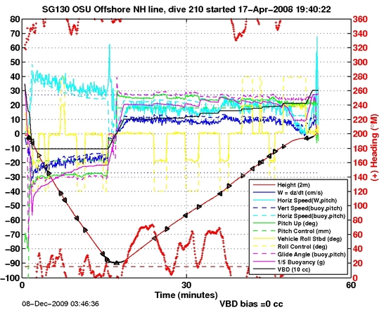 Dive Characteristics