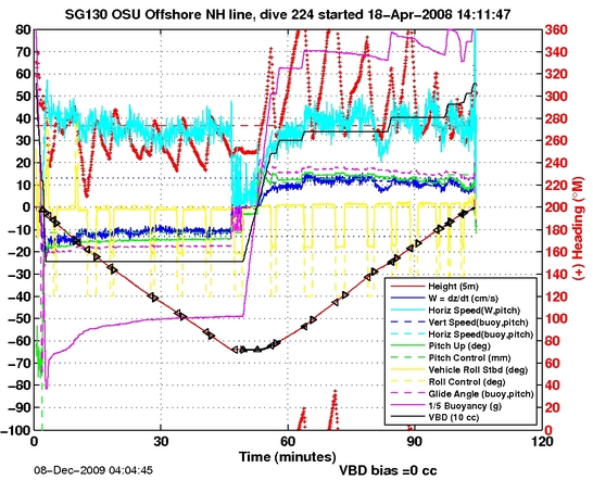 Dive Characteristics