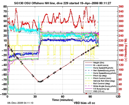 Dive Characteristics