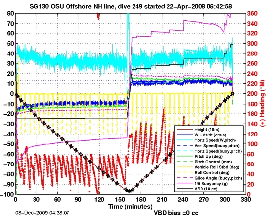 Dive Characteristics