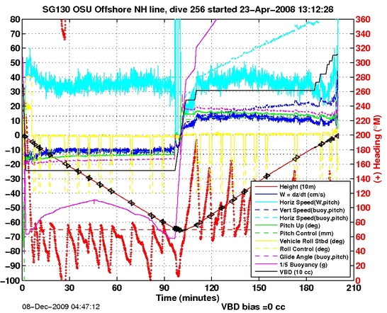 Dive Characteristics