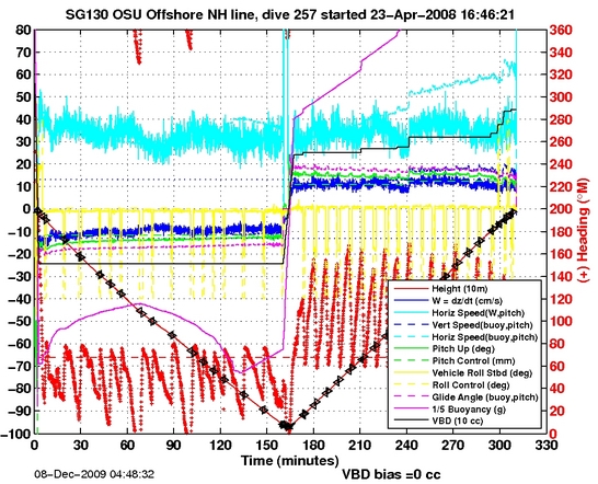 Dive Characteristics