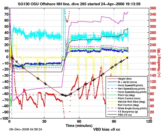 Dive Characteristics