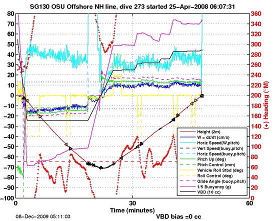 Dive Characteristics