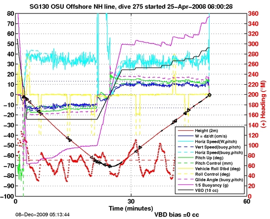 Dive Characteristics