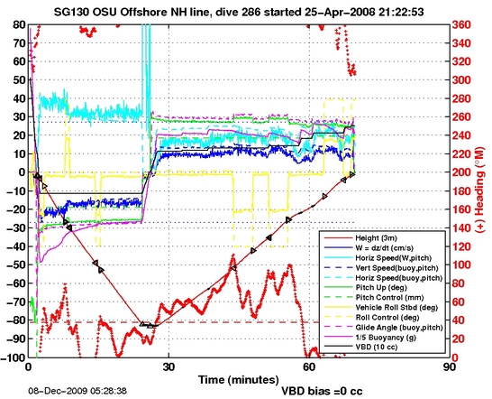 Dive Characteristics