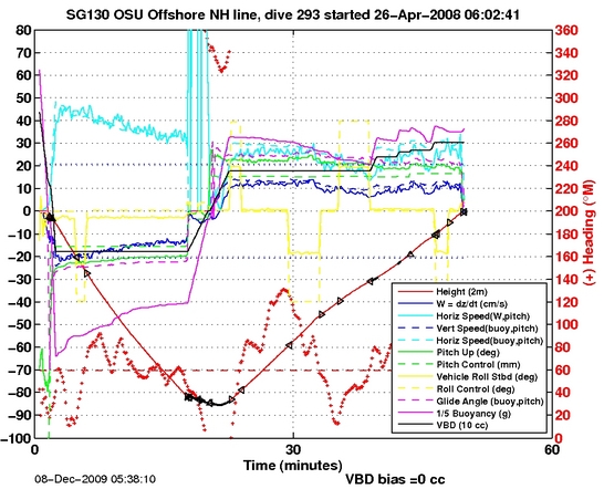 Dive Characteristics