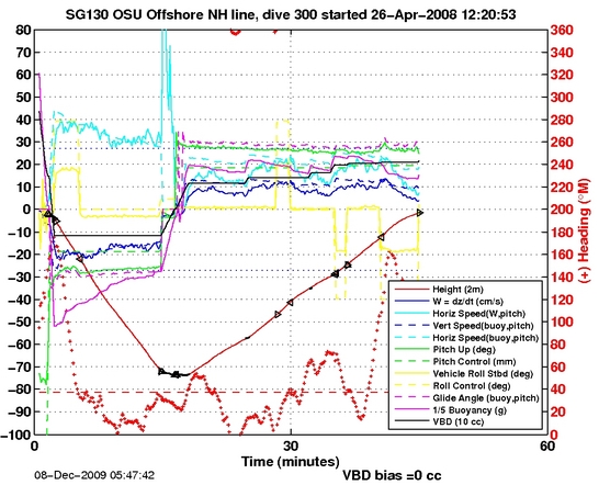 Dive Characteristics