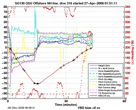 Dive Characteristics