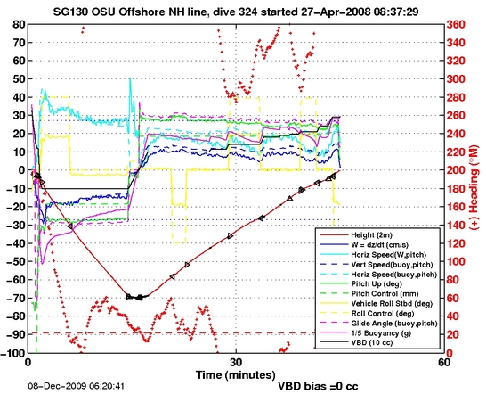 Dive Characteristics