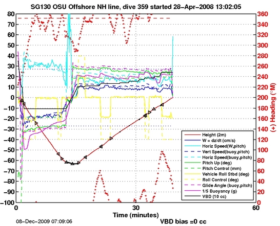 Dive Characteristics