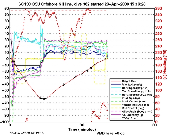 Dive Characteristics