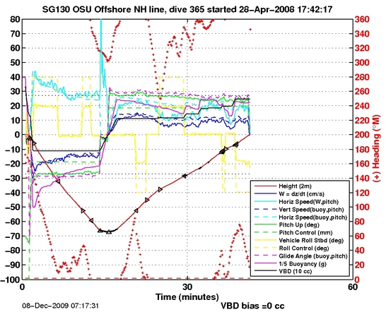 Dive Characteristics