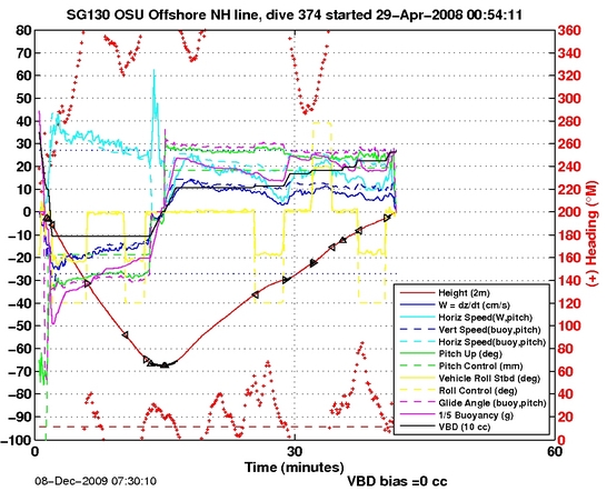 Dive Characteristics