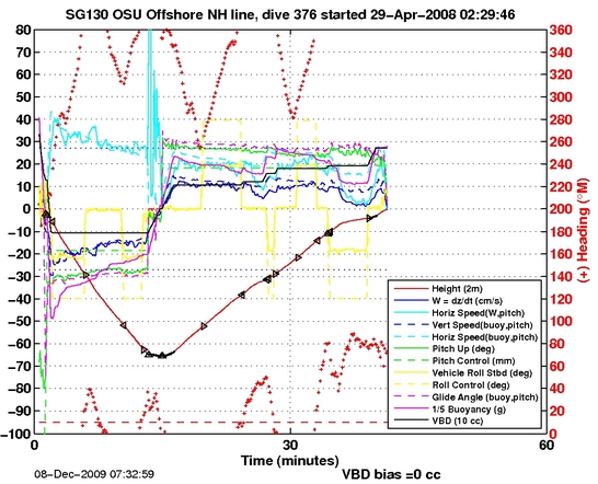 Dive Characteristics