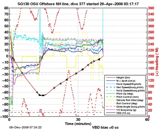 Dive Characteristics