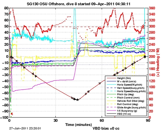 Dive Characteristics