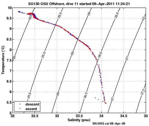 Temperature Salinity Diagnostic