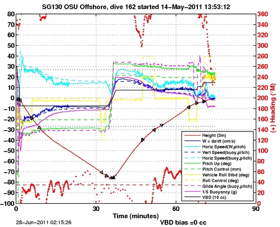 Dive Characteristics