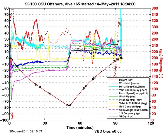 Dive Characteristics