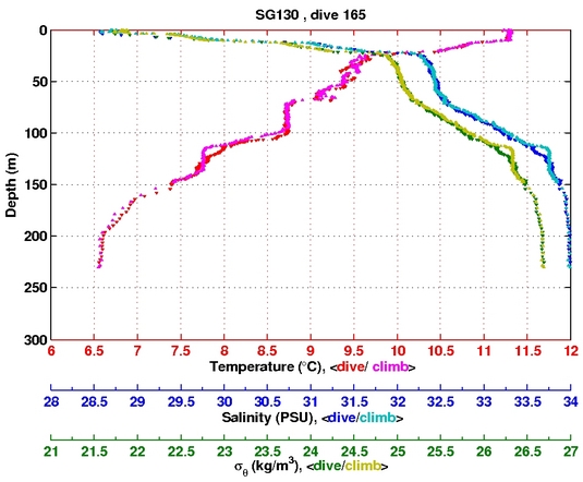 Temperature Salinity